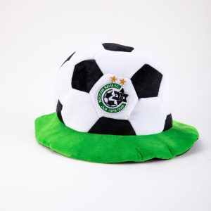 Sport Fan Hat