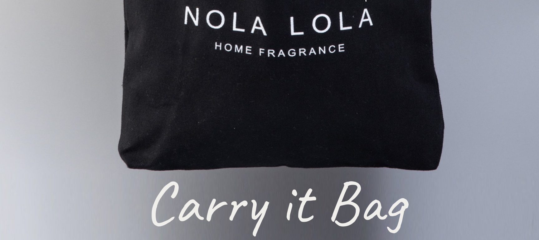 Read more about the article Carry it Bag