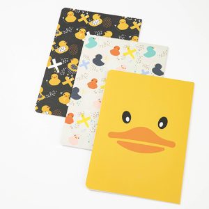 Set of 3 Softcover Notebooks