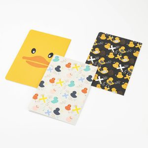 Set of 3 Softcover Notebooks