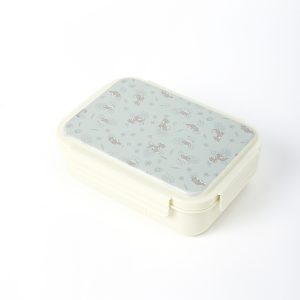 Kids Lunch Box