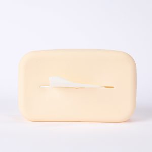 Wet Wipe Case