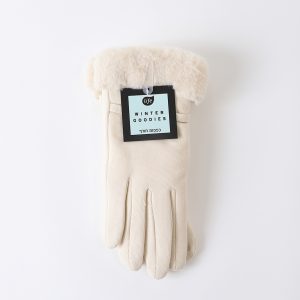 Winter Gloves