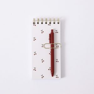 Notepad+pen