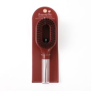Hair Brush with Spray Bottle