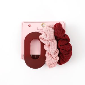 Hair Clip and Scrunchies